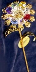 ������ ���������������� ����������� Swarovski